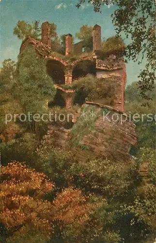 AK / Ansichtskarte Hoffmann_Heinrich Heidelberg Gesprengter Turm oder Krautturm Hoffmann Heinrich