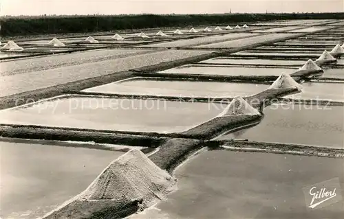 AK / Ansichtskarte Ile de Re Marais Salants Ile de Re