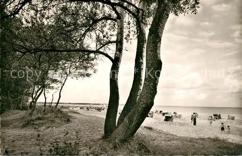 AK / Ansichtskarte Scharbeutz_Ostseebad Strand Scharbeutz_Ostseebad