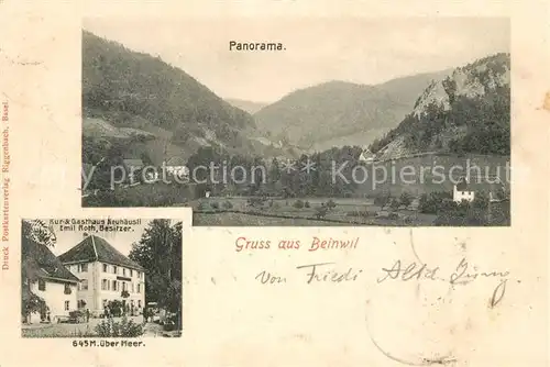 AK / Ansichtskarte Beinwil Panorama Kur Gasthaus Neuhaeusli Beinwil