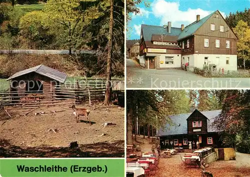 AK / Ansichtskarte Waschleithe Tierpark Gastst?tten Osterlamm und K?hlerh?tte  Waschleithe