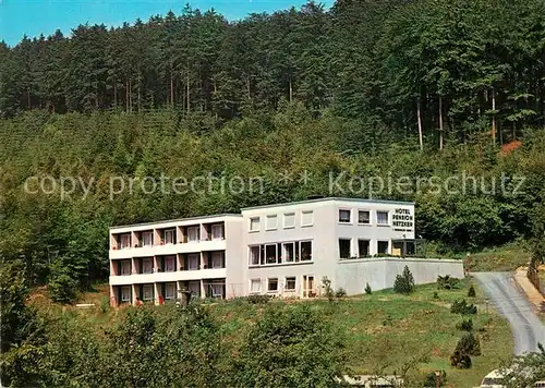 AK / Ansichtskarte Gieselwerder Hotel Pension Netzker Gieselwerder