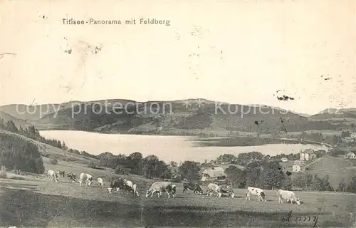 AK / Ansichtskarte Titisee Neustadt Seeblick mit Feldberg Titisee Neustadt