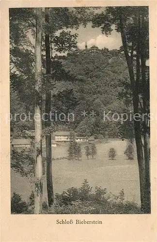 AK / Ansichtskarte Langenbieber Blick zum Schloss Langenbieber