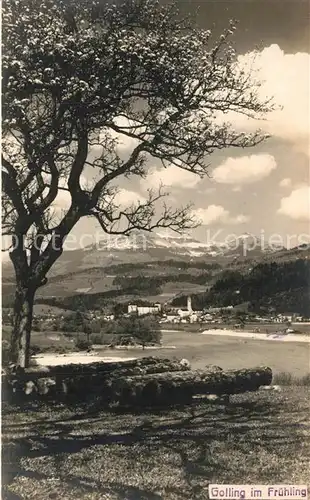 AK / Ansichtskarte Golling_Salzach Panorama Golling Salzach