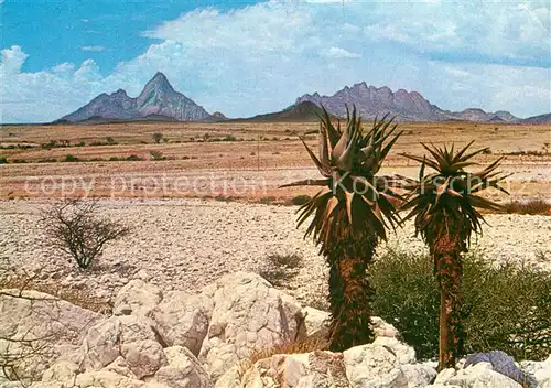 AK / Ansichtskarte Suedafrika Spitzkoppe Suedafrika