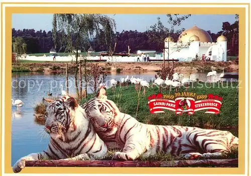 AK / Ansichtskarte Stukenbrock 20 Jahre Hollywoodpark Safariland Tiger Flamingos Stukenbrock