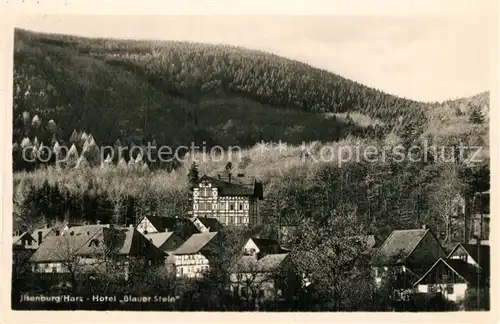 AK / Ansichtskarte Ilsenburg_Harz Hotel Blauer Stein Ilsenburg Harz