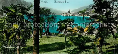 AK / Ansichtskarte Malcesine_Lago_di_Garda Park am Ufer des Gardasees Malcesine_Lago_di_Garda