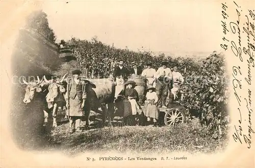 AK / Ansichtskarte Les_Vendanges Weinlese Les_Vendanges