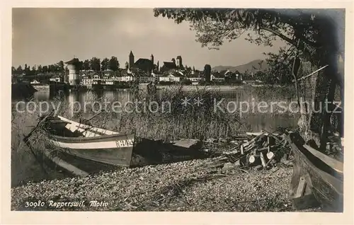 AK / Ansichtskarte Rapperswil_SG Panorama Rapperswil SG