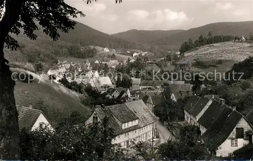 AK / Ansichtskarte Bad_Grund Panorama Bad_Grund