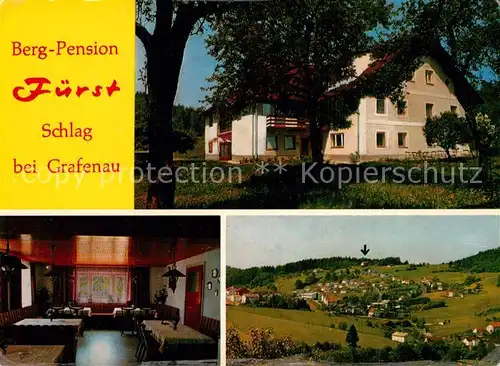 AK / Ansichtskarte Schlag_Grafenau Bergpension Fuerst Panorama Schlag_Grafenau