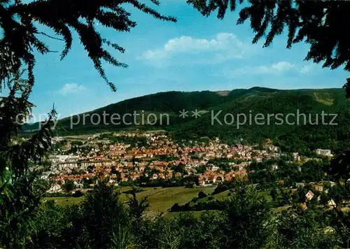 AK / Ansichtskarte Bad_Harzburg Panorama Bad_Harzburg