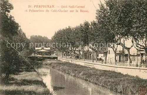 AK / Ansichtskarte Perpignan Quai Sadi Carnot Palmarium du Cafe Glacier sur la Basse Perpignan