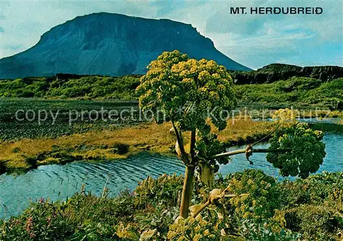 AK / Ansichtskarte Island Mount Herdubreid Landschaftspanorama Island