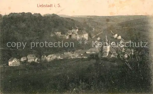 AK / Ansichtskarte Liebstadt Panorama Liebstadt