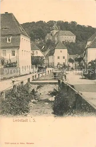 AK / Ansichtskarte Liebstadt Panorama Liebstadt