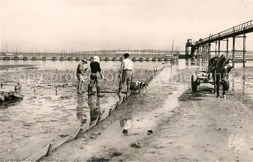 AK / Ansichtskarte Cap Ferret Travaux Ostreicoles Le Transport des Huitres pour leur Consommation Cap Ferret