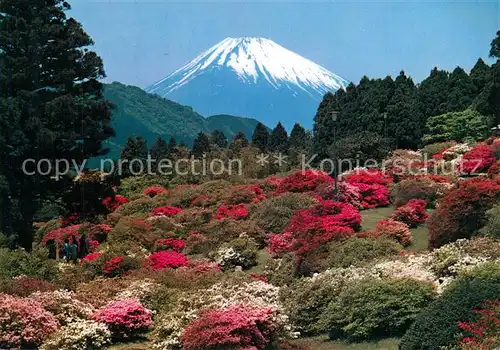 AK / Ansichtskarte Fuji Mount Fuji in Spring Fuji