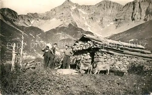 AK / Ansichtskarte Landwirtschaft Pyrenees Cabane de Bergers en Montagne 