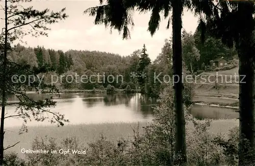 AK / Ansichtskarte Flossenbuerg Partie am Gaisweiher Oberpfaelzer Wald Flossenbuerg