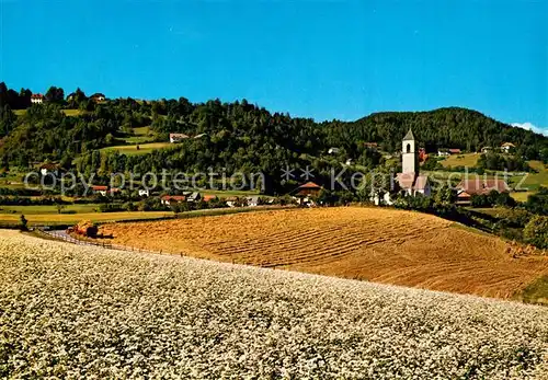 AK / Ansichtskarte Siffian Panorama Blick ueber die Felder zum Ort Sommerfrische 