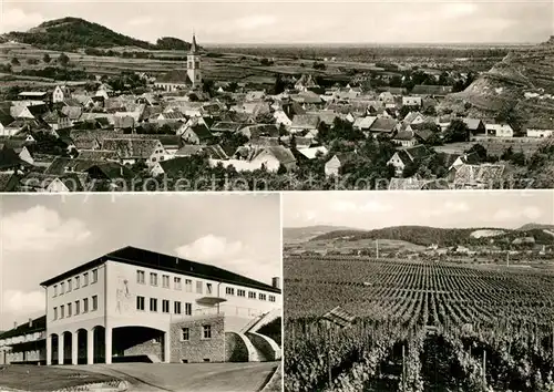 AK / Ansichtskarte Oberrotweil Panorama Weinberge Gebaeude Oberrotweil