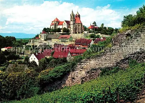 Breisach_Rhein mit Muenster Breisach Rhein