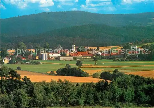 AK / Ansichtskarte Hohenthan_Oberpfalz Panorama Hohenthan Oberpfalz