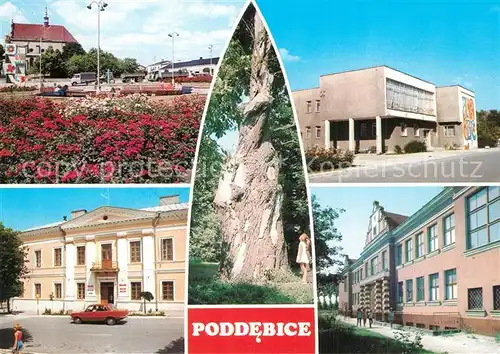 AK / Ansichtskarte Poddebice Rynek Biblioteka Publiczna Fragment parku ze stara lipa Urzad Miasta Liceum Ogolnoksztalcace 