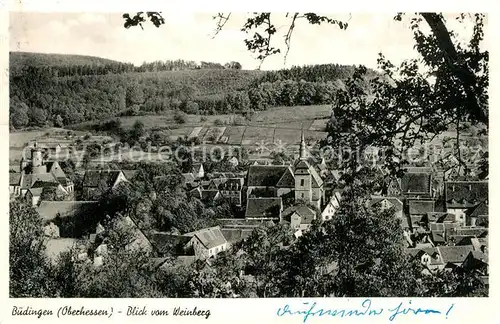 AK / Ansichtskarte Buedingen_Hessen Panorama vom Weinberg Buedingen Hessen