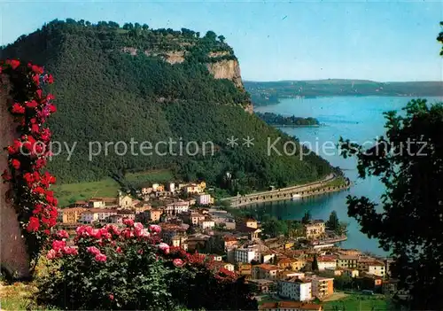 AK / Ansichtskarte Garda_Lago_di_Garda Panorama Blick auf den Gardasee Blumenranken Garda_Lago_di_Garda