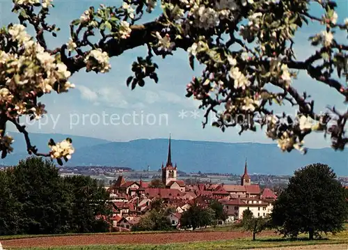 AK / Ansichtskarte Payerne Vue generale Baumbluete Payerne