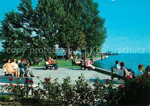 AK / Ansichtskarte Immenstaad_Bodensee Uferpartie am See Immenstaad_Bodensee