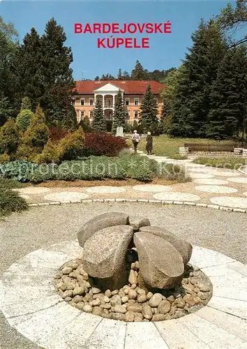 AK / Ansichtskarte Bardejovske_Kupele Liecebny dom Alzbeta Kurhaus Park Bardejovske_Kupele