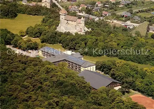 AK / Ansichtskarte Maria_Enzersdorf Schloss Liechtenstein Fliegeraufnahme Maria Enzersdorf