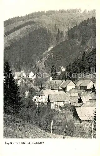 AK / Ansichtskarte Steina_Suedharz Panorama Steina Suedharz