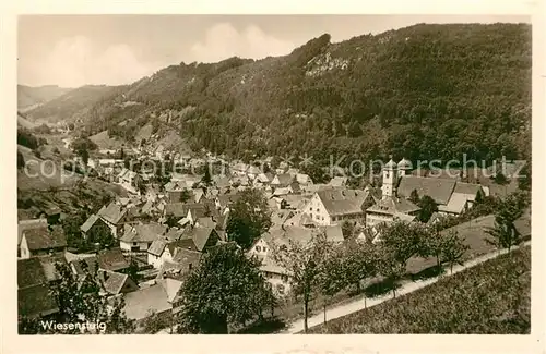 AK / Ansichtskarte Wiesensteig Panorama Wiesensteig