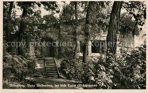 AK / Ansichtskarte Weinsberg Burg Weibertreu Dichter Turm  Weinsberg