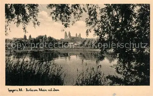 AK / Ansichtskarte Speyer_Rhein Rheinpartie mit Dom Speyer Rhein