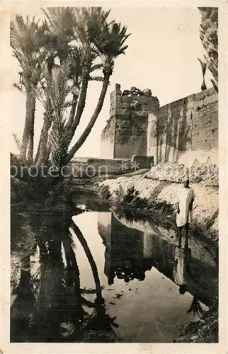 AK / Ansichtskarte Marrakech_Marrakesch Remparts et palmeraie Marrakech Marrakesch