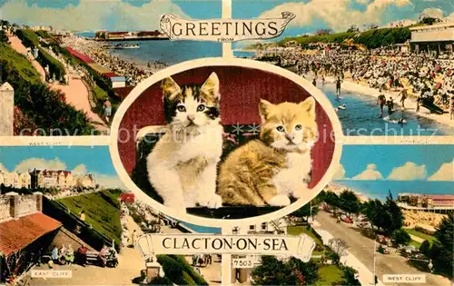 AK / Ansichtskarte Clacton on Sea Panorama Cliffs Beach Cats Clacton on Sea