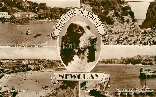 AK / Ansichtskarte Newquay Trenance Park Boating Lake Towan Beach Dog Island Harbour Newquay