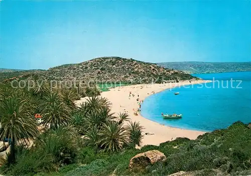 Sitia Palmenwald Panorama Sitia