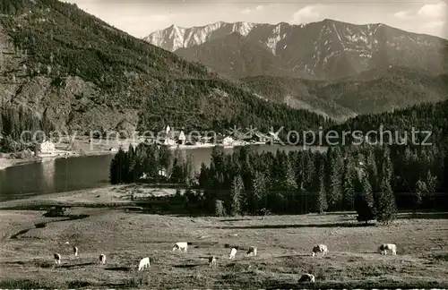 AK / Ansichtskarte Spitzingsee Panorama Blick gegen Sonnwendjoch Mangfallgebirge Spitzingsee