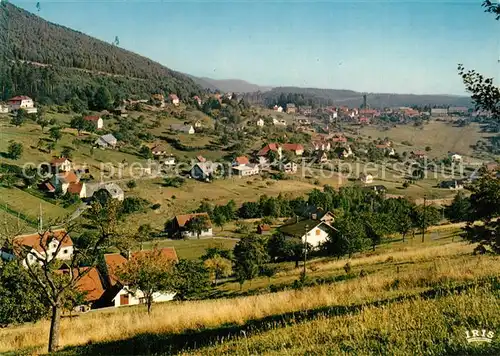 AK / Ansichtskarte Wangenbourg Engenthal Vue panoramique Schneethal Wangenbourg Engenthal