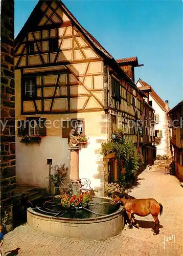 AK / Ansichtskarte Riquewihr_Haut_Rhin Fontaine Cheval Maison alsaciennes Collection Couleurs et Lumiere de France Riquewihr_Haut_Rhin