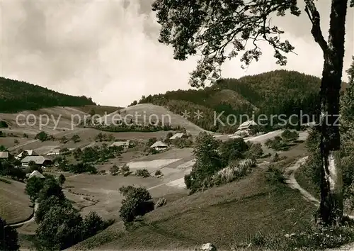 AK / Ansichtskarte Neuenweg Gasthaus Pension Haldenhof  Neuenweg