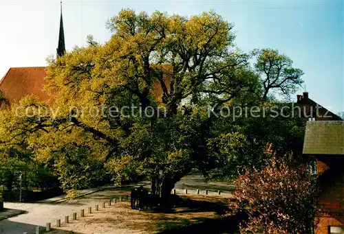 AK / Ansichtskarte Bordesholm  Bordesholm